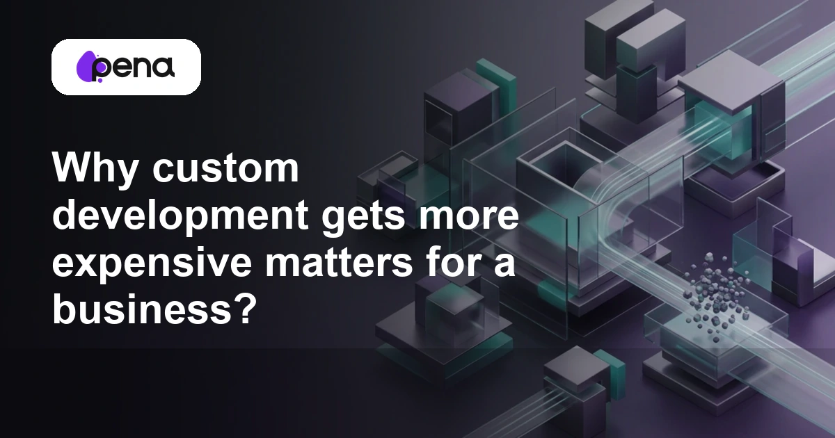 Why custom development gets more expensive matters for a business? — Pena